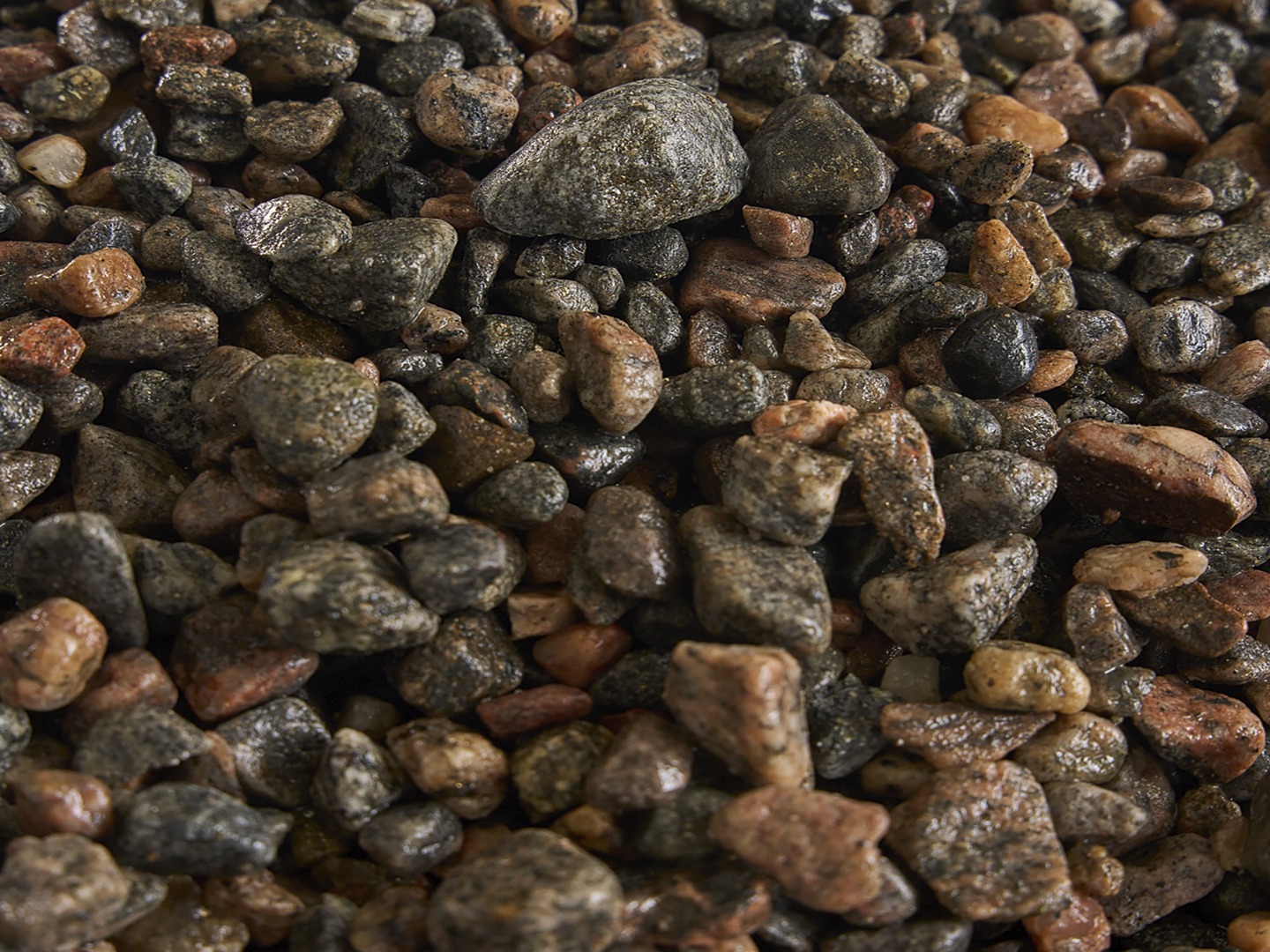 Close-up image of variously sized and colored pebbles. The stones are wet, highlighting their earthy and textured surfaces, creating a natural mosaic.