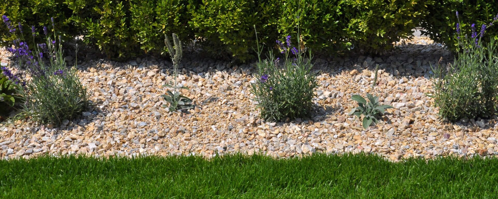 A landscaped garden features green bushes, small flowering plants, and a stone-covered area, bordered by a walkway and manicured grass.