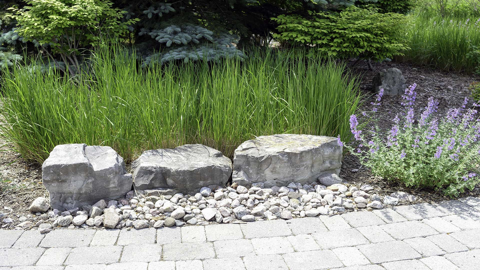 A garden scene with large rocks, green grass, and purple flowers bordered by a stone pathway under bright sunlight.