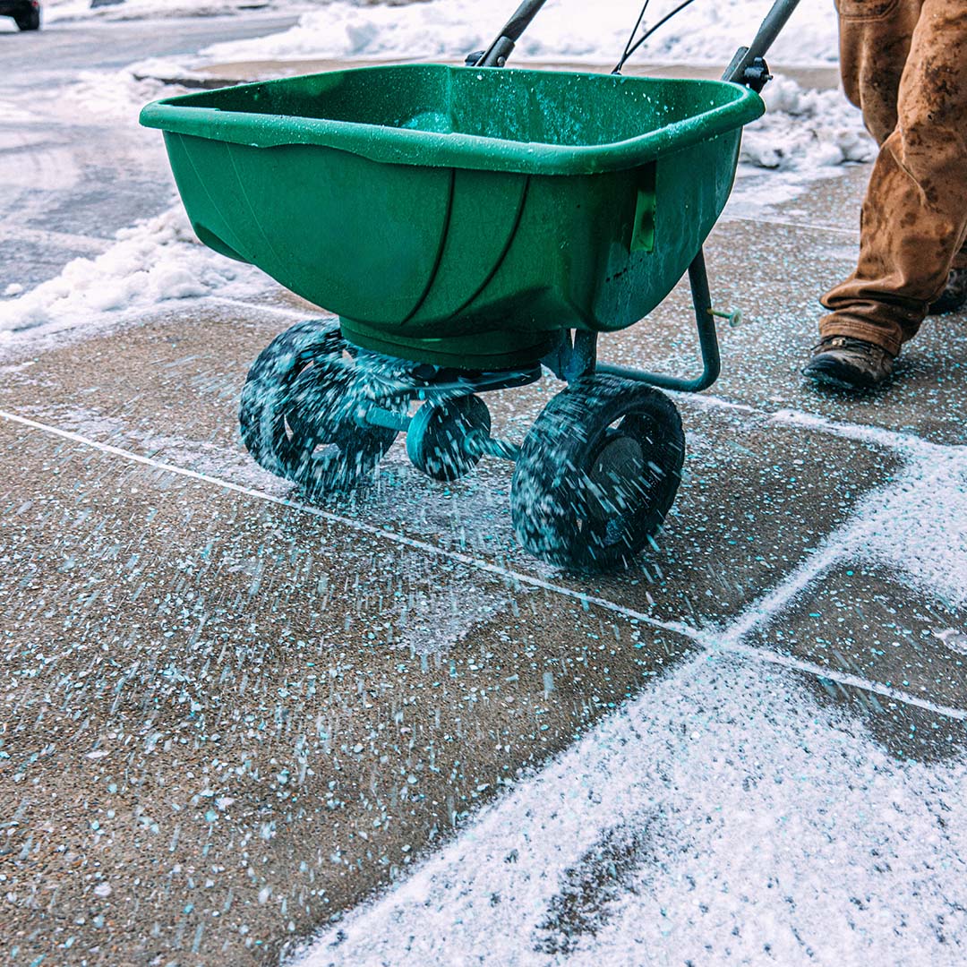 A person spreads ice melt on a snow-dusted sidewalk using a green spreader, while dressed in brown winter clothing on a cold day.