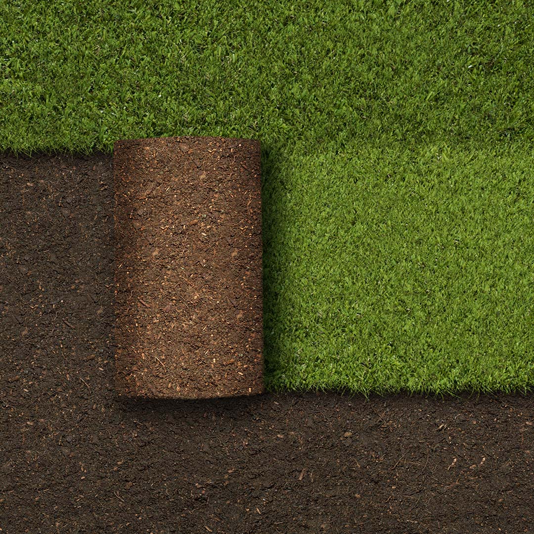 A roll of turf is partially unrolled on dark brown soil, revealing vibrant green grass, creating a contrast between the earth and greenery.