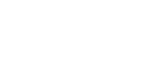 Black and white logo featuring the word "NAPOLEON" beneath a stylized flame icon. The design is enclosed within a rounded rectangle.